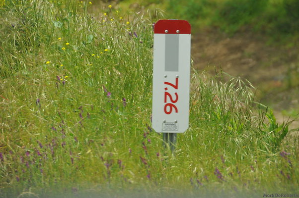 MDR 3877