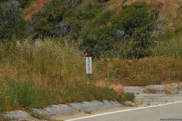 MDR 3960