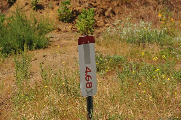 MDR 4041