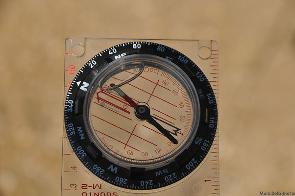 MDR 4231