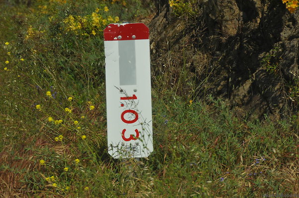 MDR 4239
