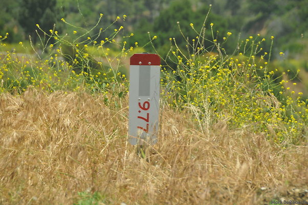 MDR 3773