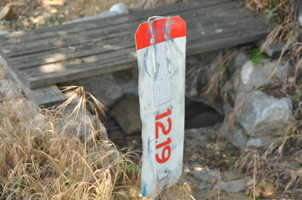 MDR 3679