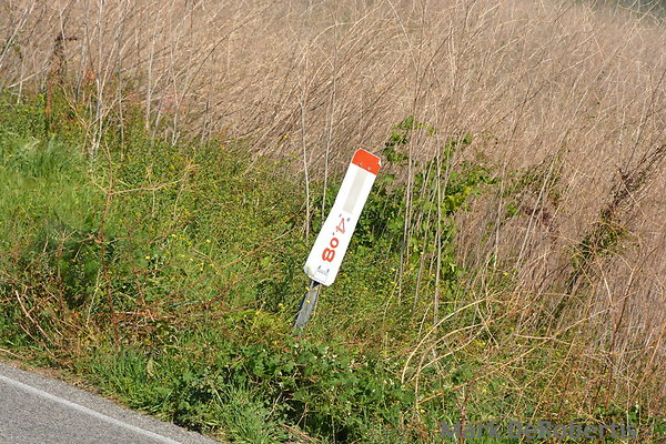 MDR 3721