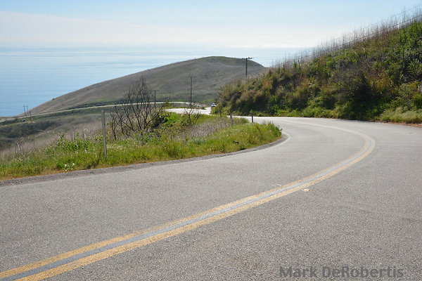 MDR 3697