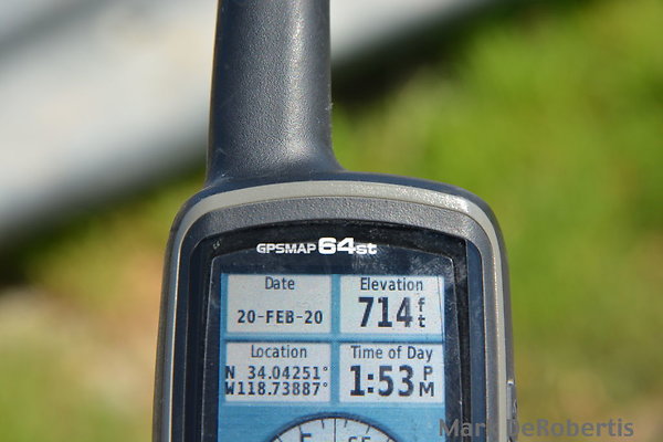 MDR 3691
