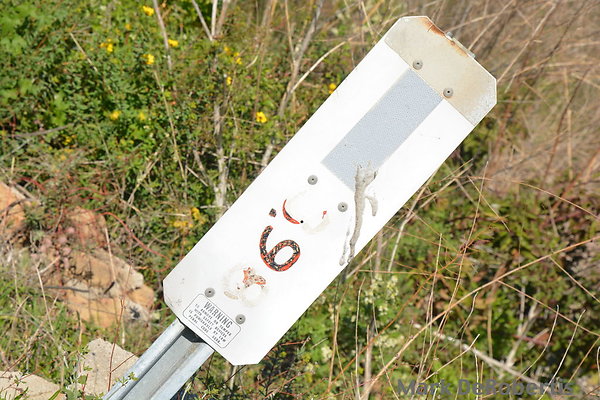 MDR 3732