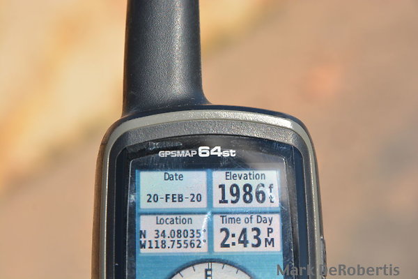 MDR 3905