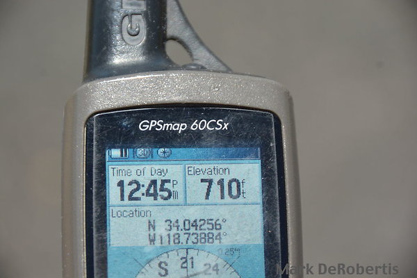 MDR 2038