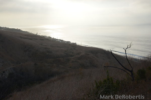 MDR 8888 - 35mm