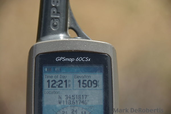 MDR 1335