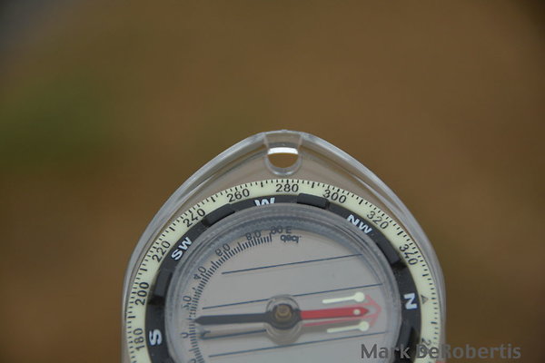 MDR 1084