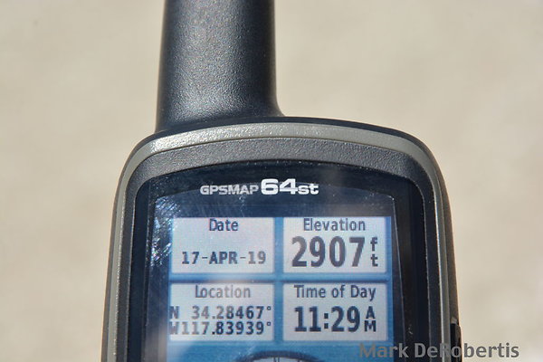 MDR 2534
