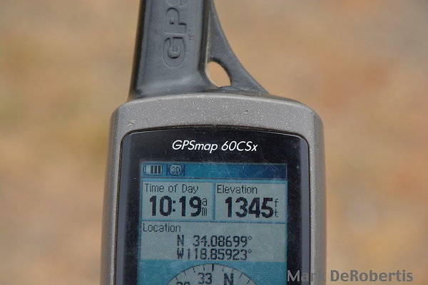 MDR 6219