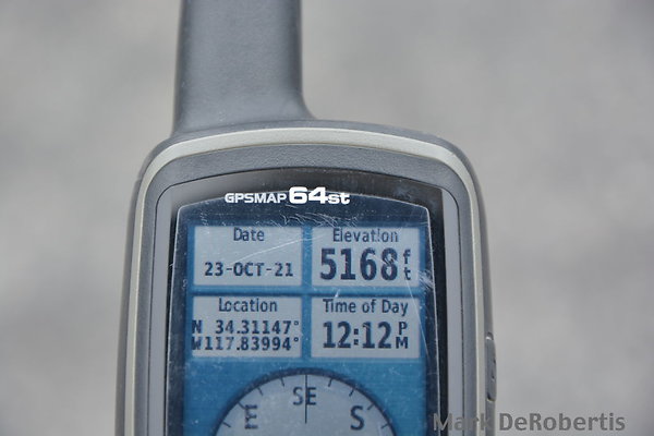MDR 6504c