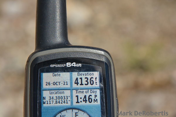 MDR 7253