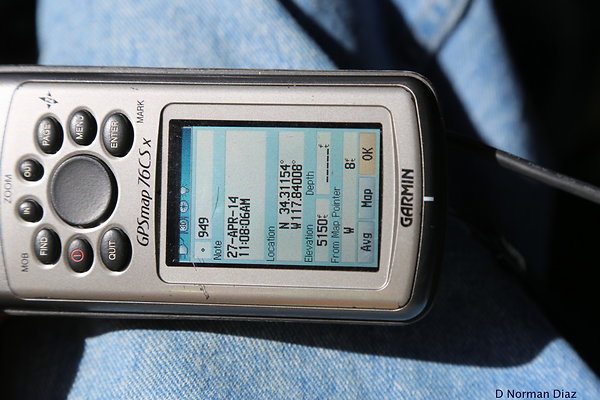 zIMG 5009