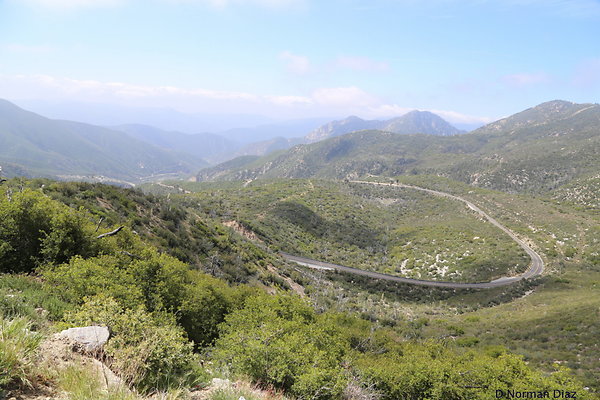 IMG 4978