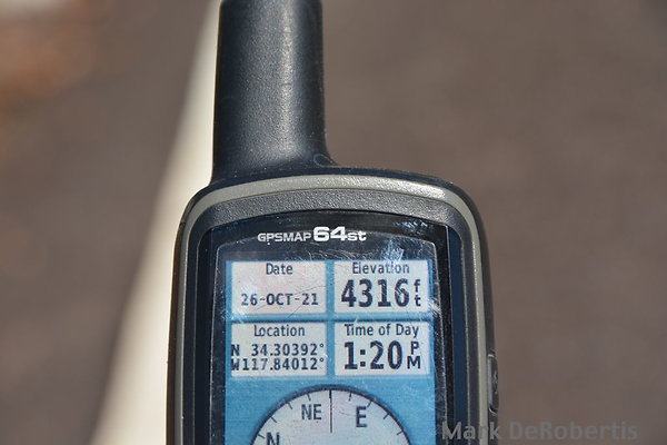 MDR 7173