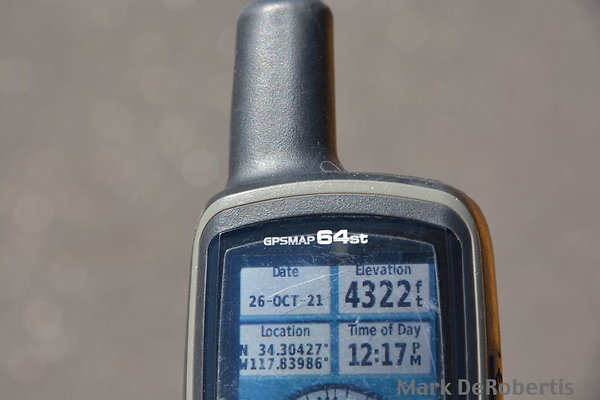 MDR 7031
