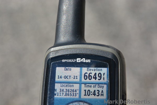MDR 3704