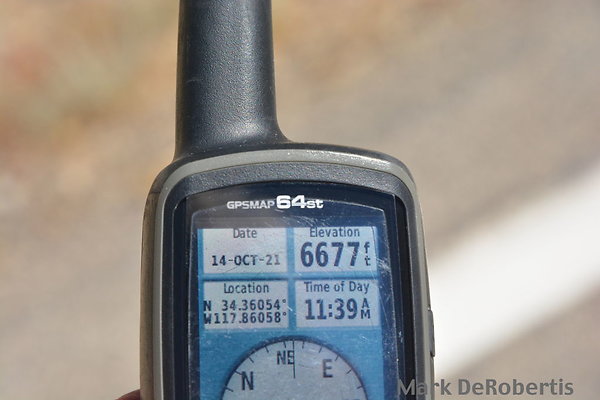 MDR 4004