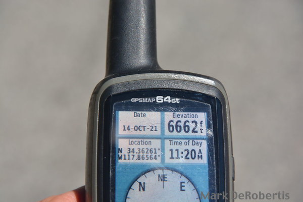 MDR 3873