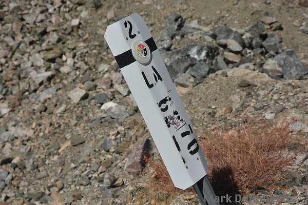 MDR 3874