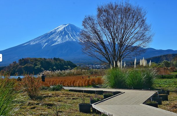 12 Oike Park 3