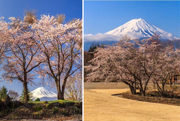 10 Yagizaki Park 2