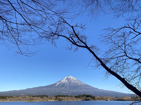 Tanuki lake 2