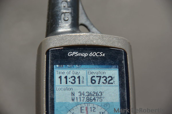 MDR 8691