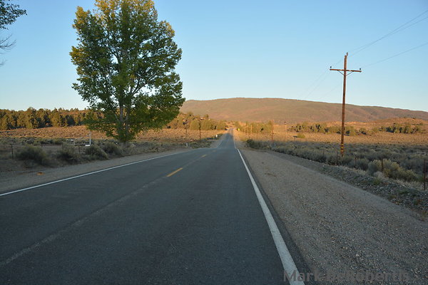 MDR 0230 MDR 0230