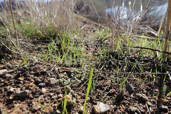 IMG 0759IMG IMG 0759IMG