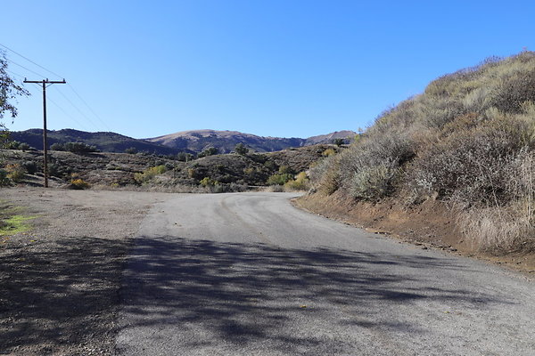 IMG 0803IMG IMG 0803IMG