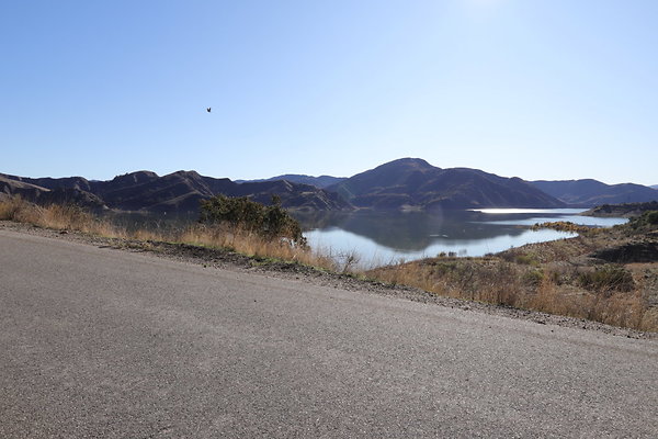 IMG 0774IMG IMG 0774IMG