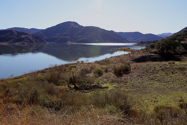 IMG 0786IMG IMG 0786IMG