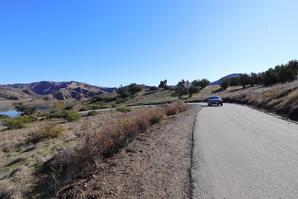 IMG 0818IMG IMG 0818IMG