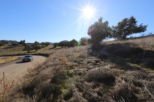 IMG 0817IMG IMG 0817IMG