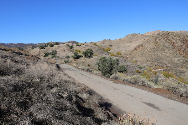 IMG 0814IMG IMG 0814IMG