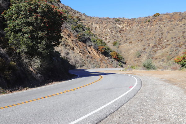 IMG 0841IMG IMG 0841IMG