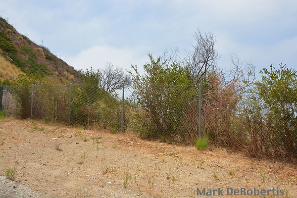 MDR 3396 - 1145am MDR 3396 - 1145am