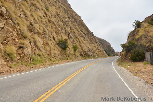 MDR 3395 - 70deg MDR 3395 - 70deg