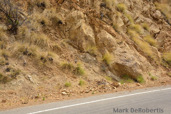 MDR 3394 - 35mm MDR 3394 - 35mm