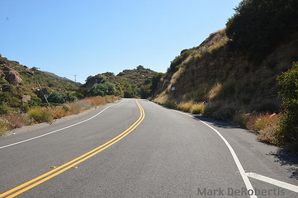 MDR 3831 - 220deg MDR 3831 - 220deg