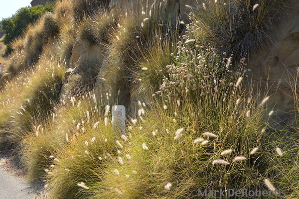 MDR 3883 - 430pm MDR 3883 - 430pm