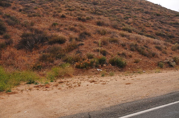 DSC 9342