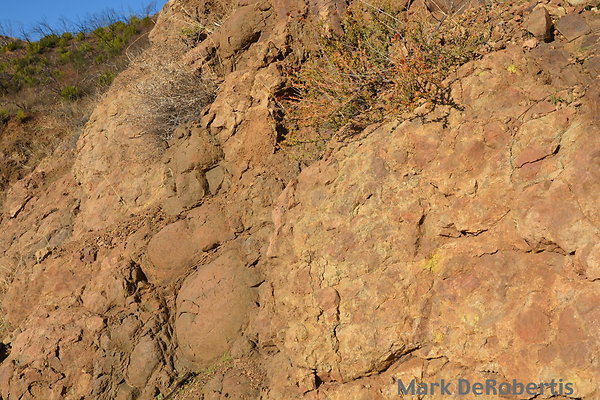 MDR 2217 - 245pm MDR 2217 - 245pm