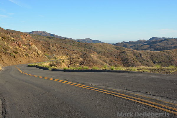 03 Little Sycamore 0.60