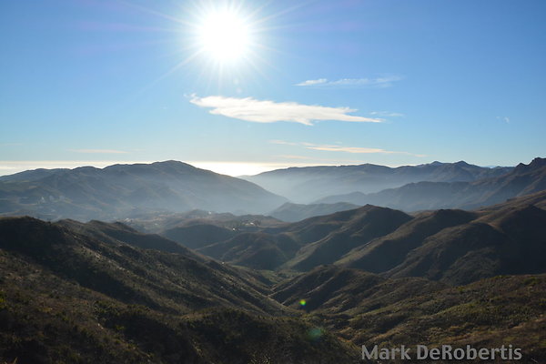 04 Little Sycamore Extras